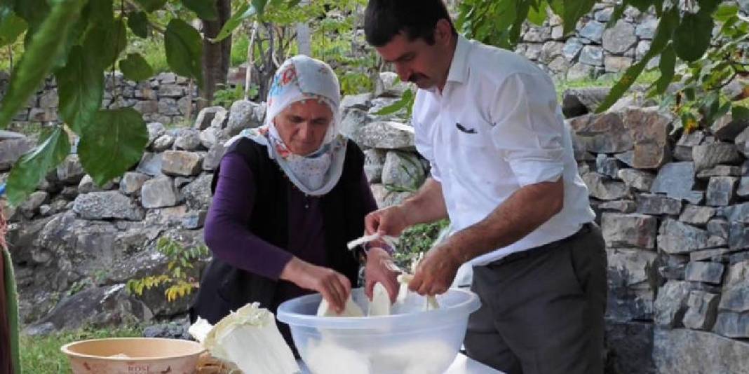 Sadece Türkiye’de değil dünya mutfağında da söz sahibi! Geleneksel lezzet: Peynir deyip geçmek büyük hata 1